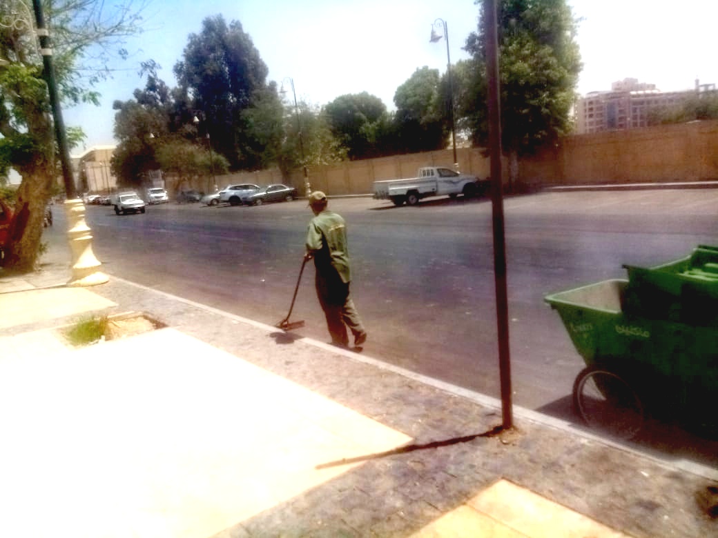 حملة نظافة بمنطقة الممشى السياحي وكورنيش النيل بمدينة الأقصر حملة نظافة بمنطقة الممشى السياحي وكورنيش النيل بمدينة الأقصر