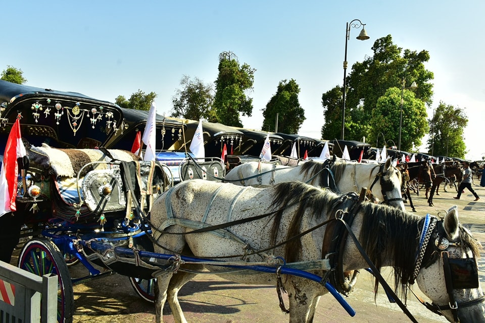 عربات الحنطور وسيلة الترفيه الأبرز للسياح والأهالى فى الأقصر