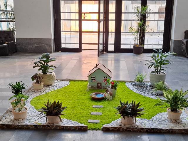 جامعة دمنهور تعلن تنفيذ مشروع الحديقة المصغرة (Mini Garden) (2)