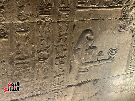 أحد جدران معبد إدفو أحد جدران معبد إدفو