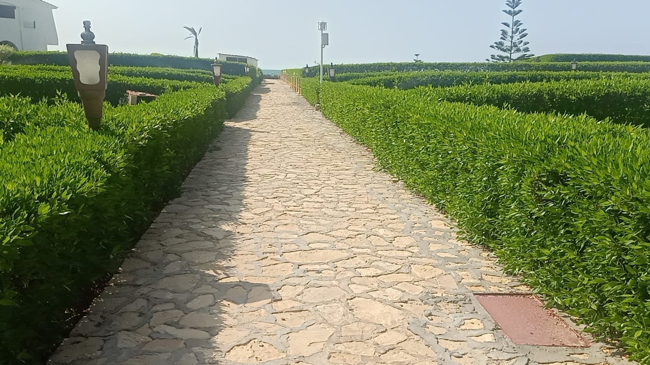 من مناطق العريش من مناطق العريش