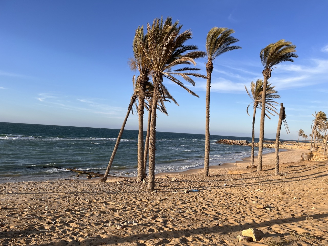 جمال الطبيعة علي شاطي العريش جمال الطبيعة علي شاطي العريش