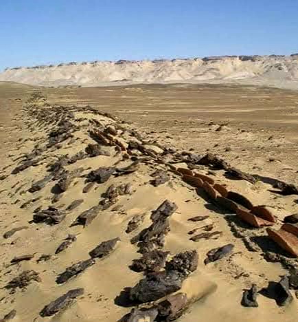 بقايا مسار درب عين أمور بقايا مسار درب عين أمور