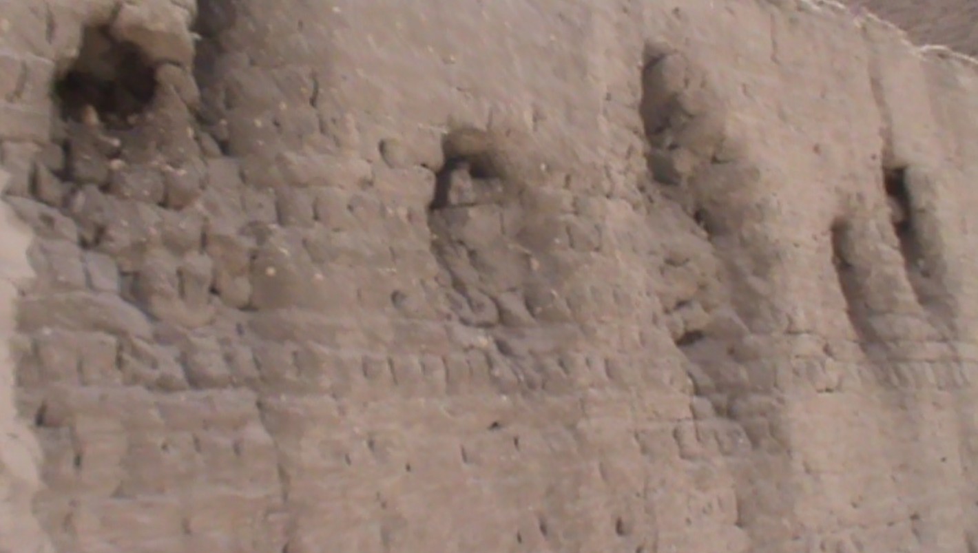 أثار المدافع على جدارن جهينة  (1)