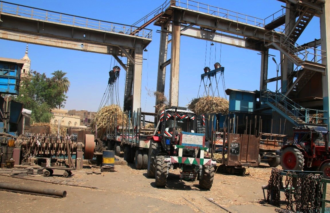 المصنع استقبل 830 ألف طن قصب من المزارعين