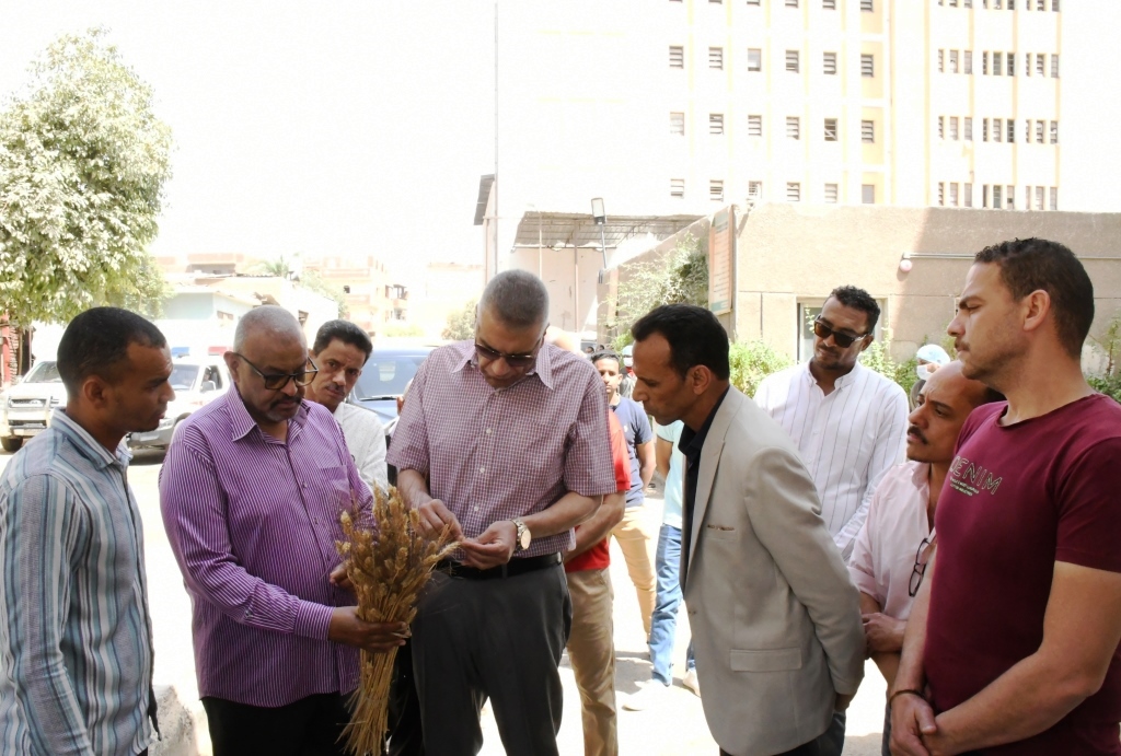 محافظ أسوان يتايع جودة القمح محافظ أسوان يتايع جودة القمح