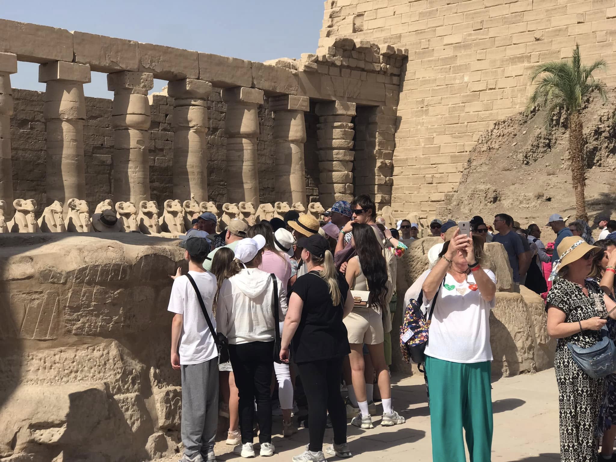 استمتاع سياح العالم بزيارة كباش الكرنك استمتاع سياح العالم بزيارة كباش الكرنك