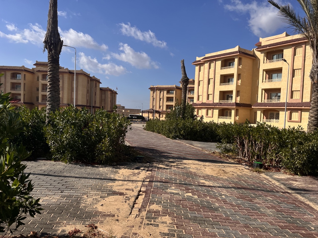 من داخل المدينة من داخل المدينة