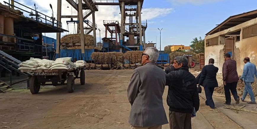 جانب من العمل فى مصنع سكر أرمنت