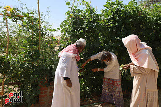 الملكة النوبية.. قصة سائحة بلغارية عشقت بلاد النوبة (17)