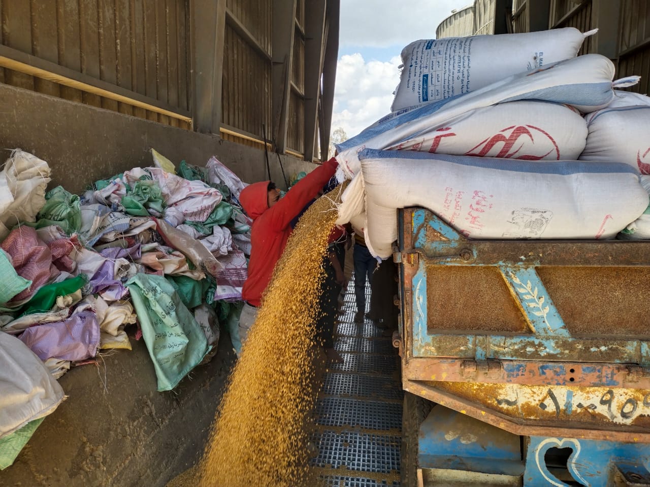 القمح في الصوامع القمح في الصوامع