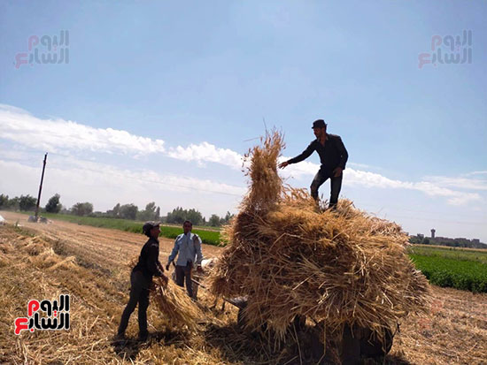 تحميل-السيارات-لبدء-عملية-الدريس