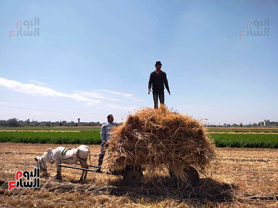 العمال-تحت-أشعة-الشمس