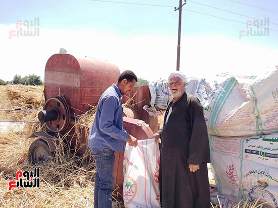 فرحة-الحصاد