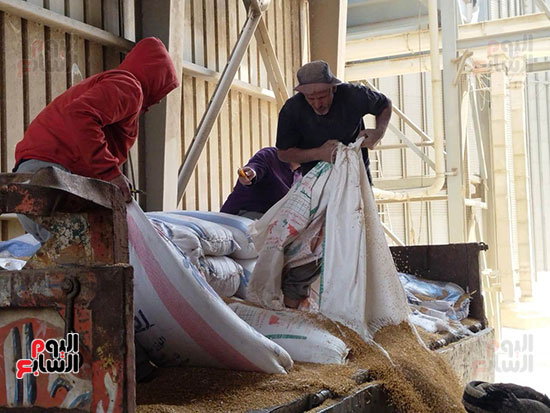 العمال-في-الصوامع