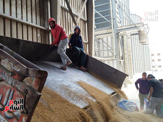 عمال-التنزيل-بصوامع-القليوبية