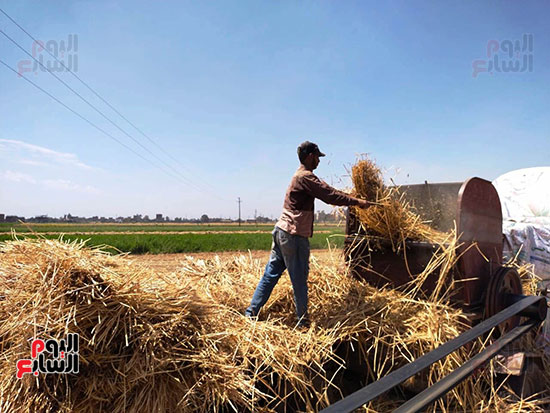 تلقيم-الدراسة