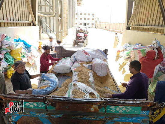 شغالين فى عيدهم وفرحانين.. عمال تفريغ القمح بصوامع القليوبية يرفعون شعار العمل لتأمين مخزون مصر من المحصول الاستراتيجى.. ويؤكدون: موسم الخير لنا وننتظره كل عام.. فرحتنا بتكمل بحصاد ما أنجزناه بعد الموسم
