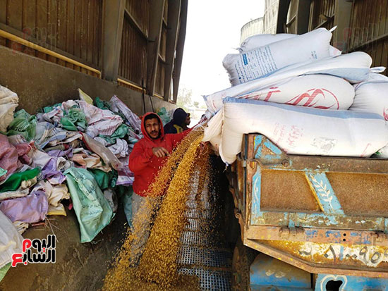 شلالات-من-الذهب