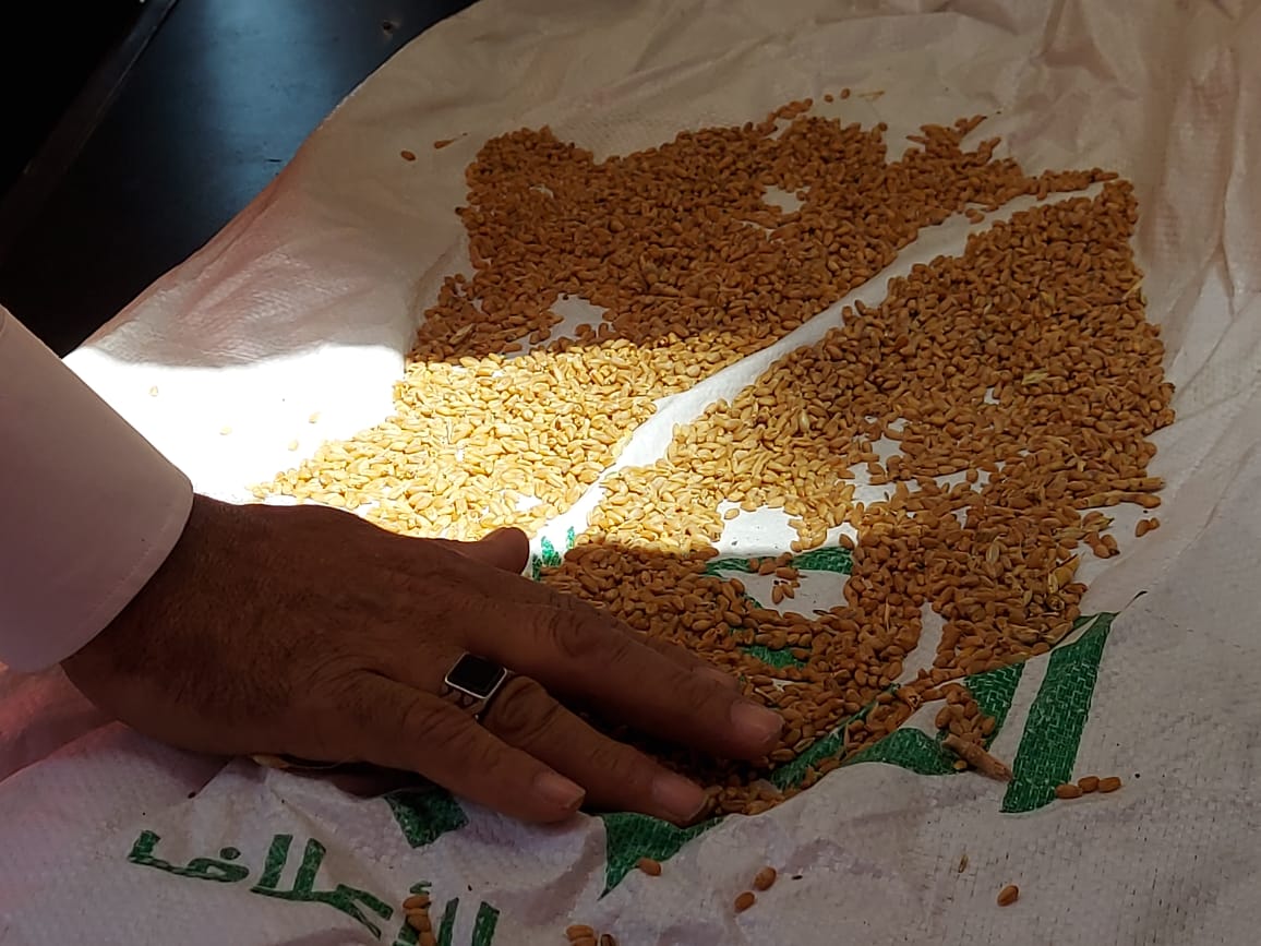 فحص العينة قبل التوريد فحص العينة قبل التوريد