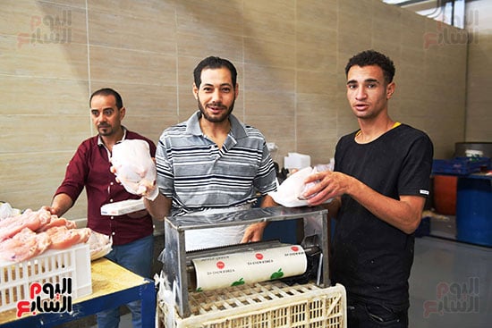 الدواجن الدواجن