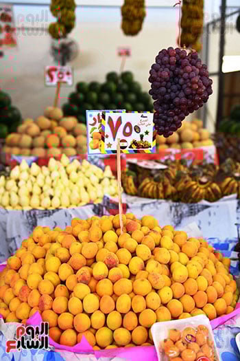 عرض الاسعار عرض الاسعار