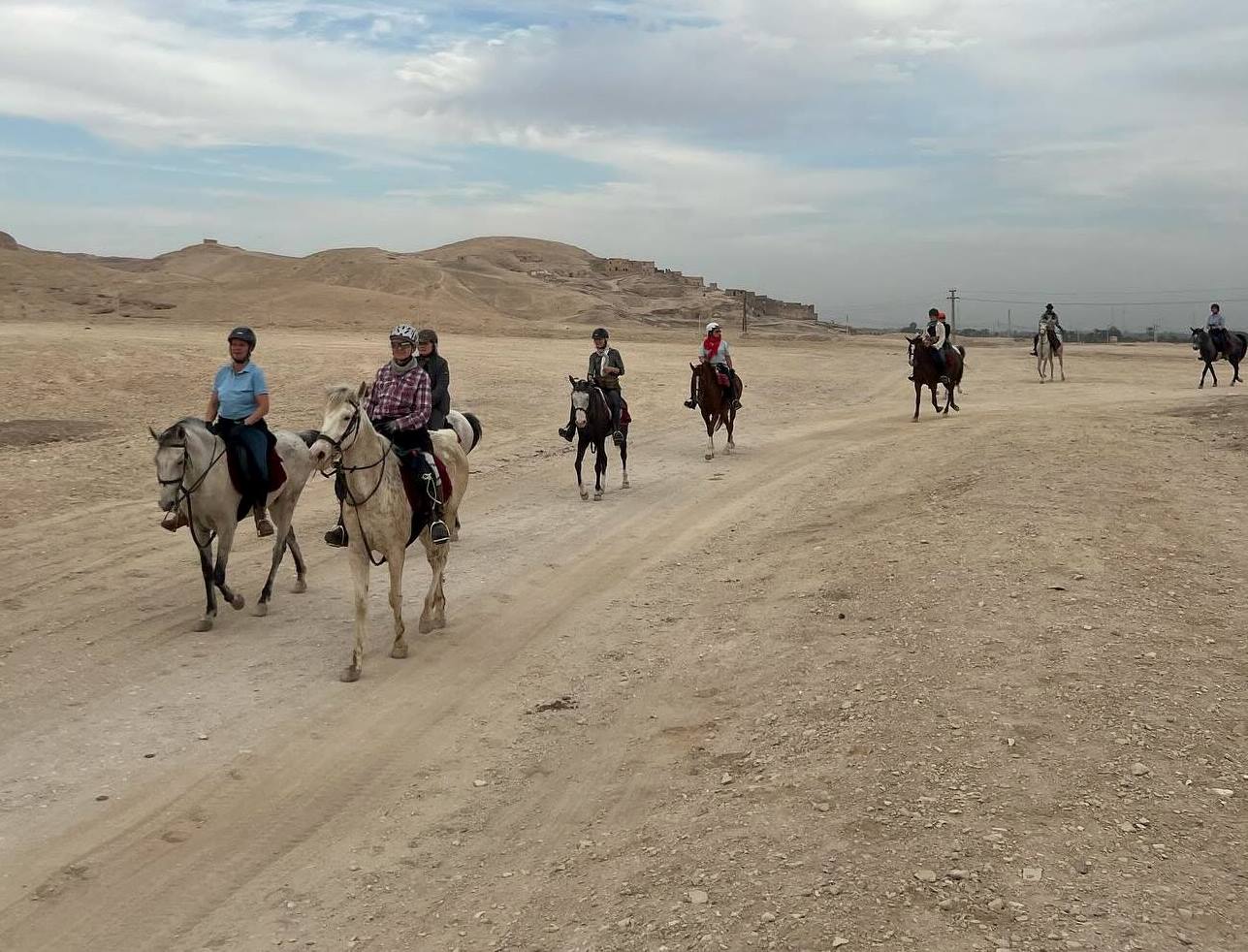 صورة اليوم.. سفارى الخيول فى جبال الأقصر صورة اليوم.. سفارى الخيول فى جبال الأقصر
