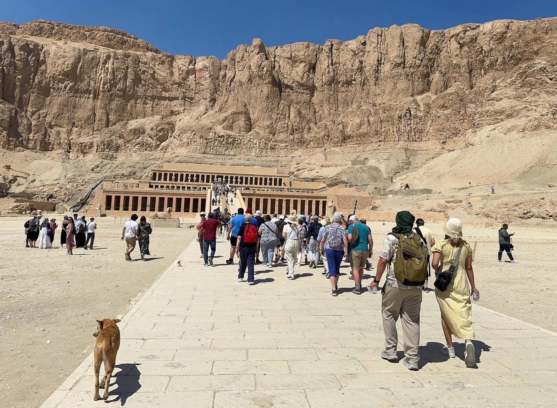 جانب من الزيارات لسياح العالم على المعابد جانب من الزيارات لسياح العالم على المعابد