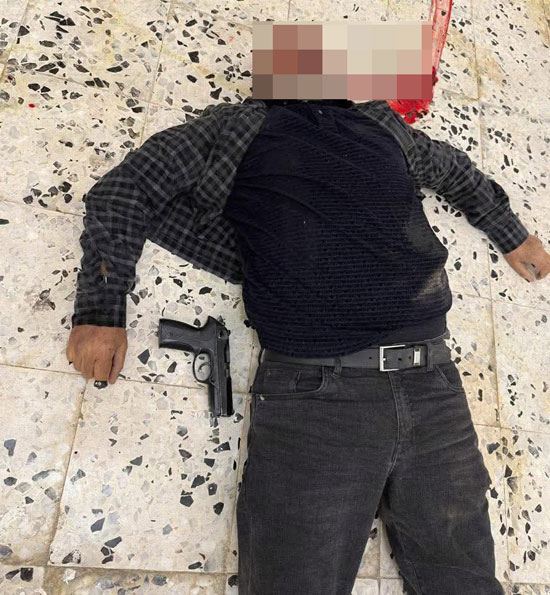 d1c8e407-1382-40f7-9e13-42edea23cdff d1c8e407-1382-40f7-9e13-42edea23cdff