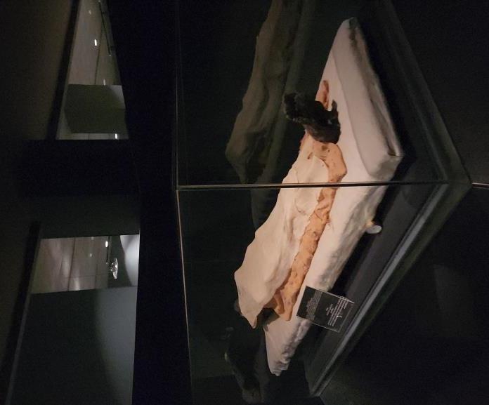 أحد المومياوات المحنطة داخل المتحف منذ آلاف السنين