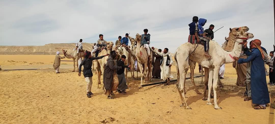 جانب من المتسابقين جانب من المتسابقين