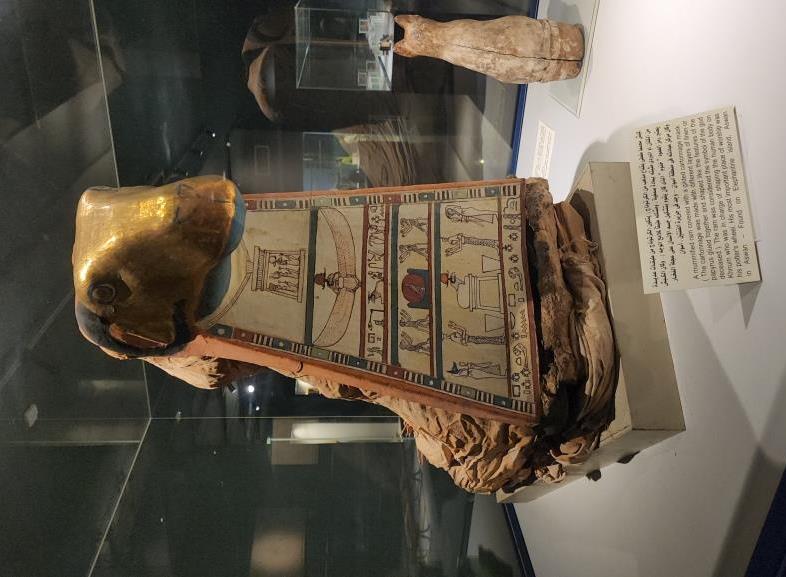كبش تم تحنيطه فى العصور الفرعونية بالمتحف