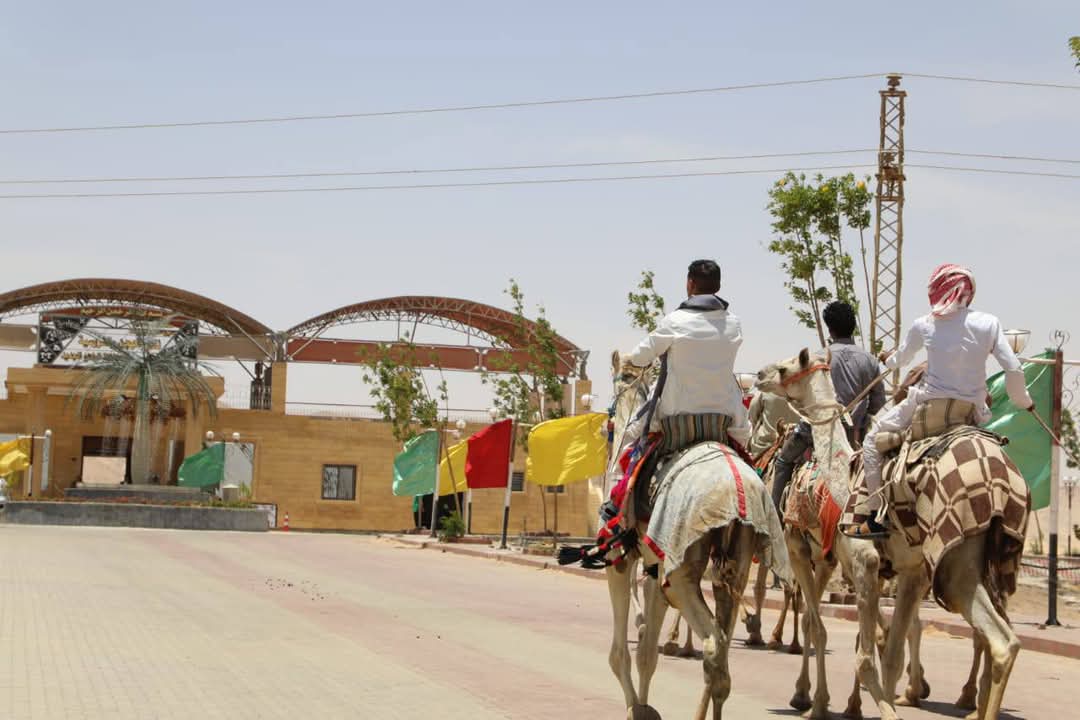 هجانة ومتسابقو الوادي الجديد هجانة ومتسابقو الوادي الجديد