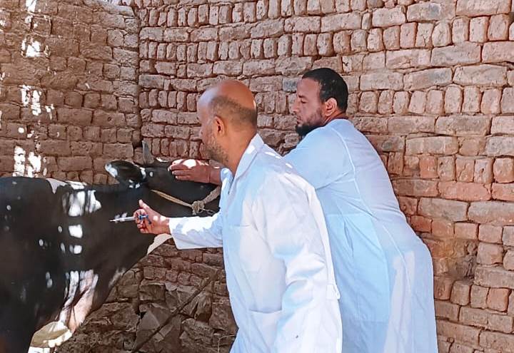 جانب من التحصين جانب من التحصين