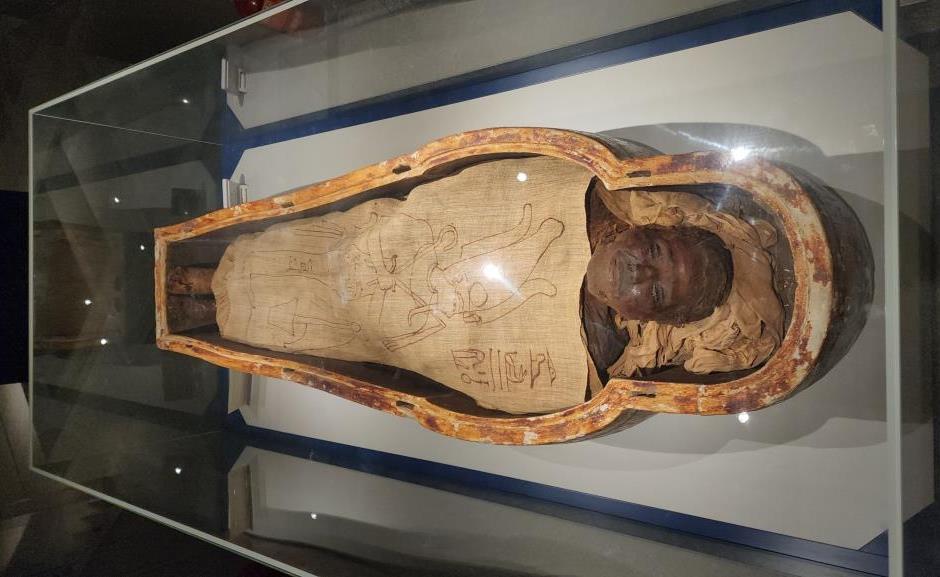 مومياء محفوظة داخل المتحف منذ آلاف السنين