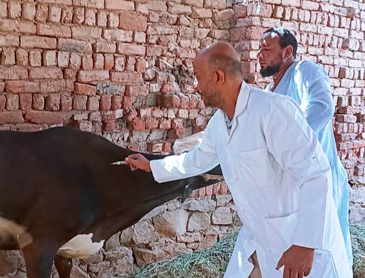 جانب من الحملة جانب من الحملة
