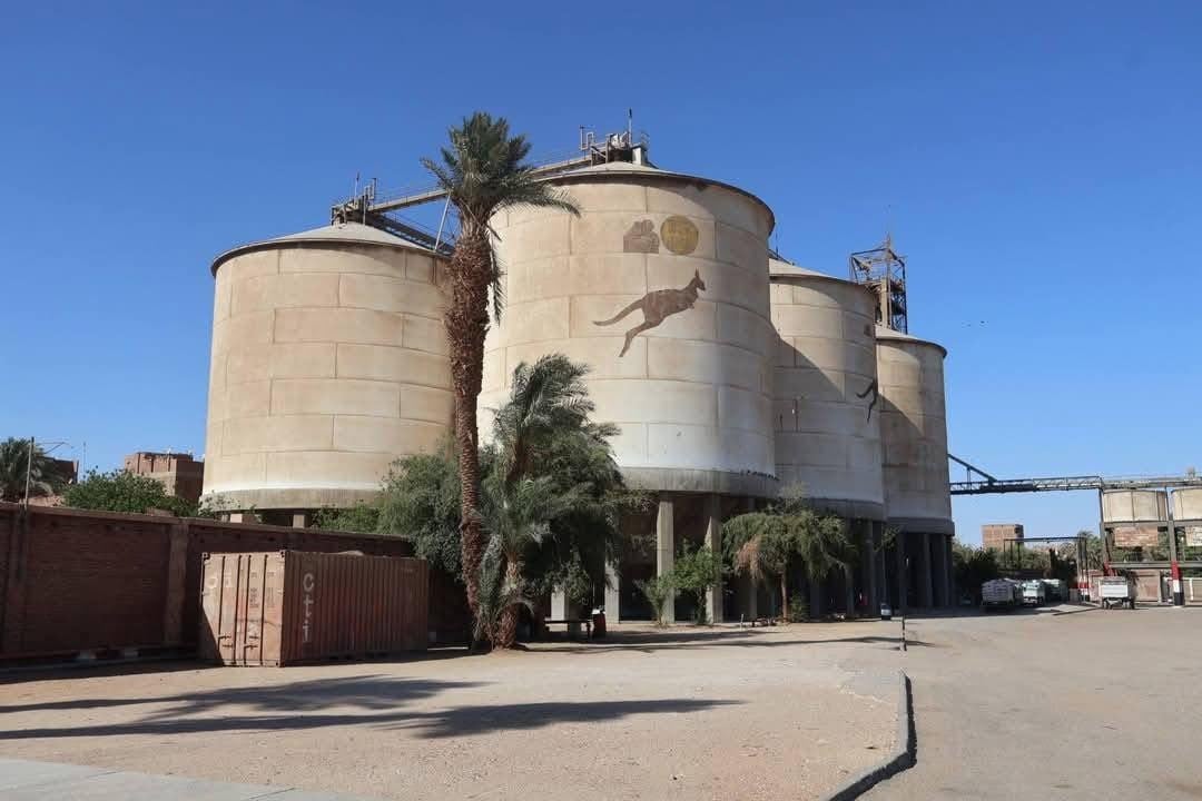 صوامع سوهاج تمتلئ صوامع سوهاج تمتلئ