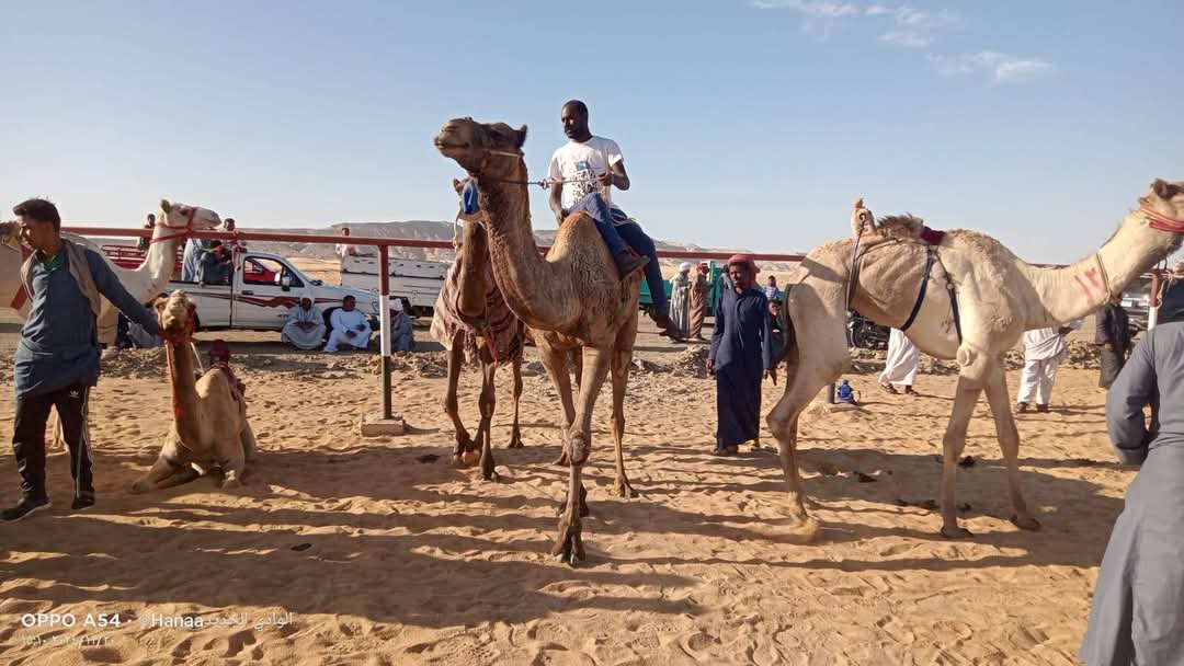 احد متسابقى الوادي الجديد احد متسابقى الوادي الجديد