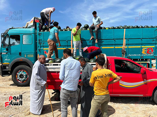 جانب-من-تحميل-البطيخ جانب-من-تحميل-البطيخ