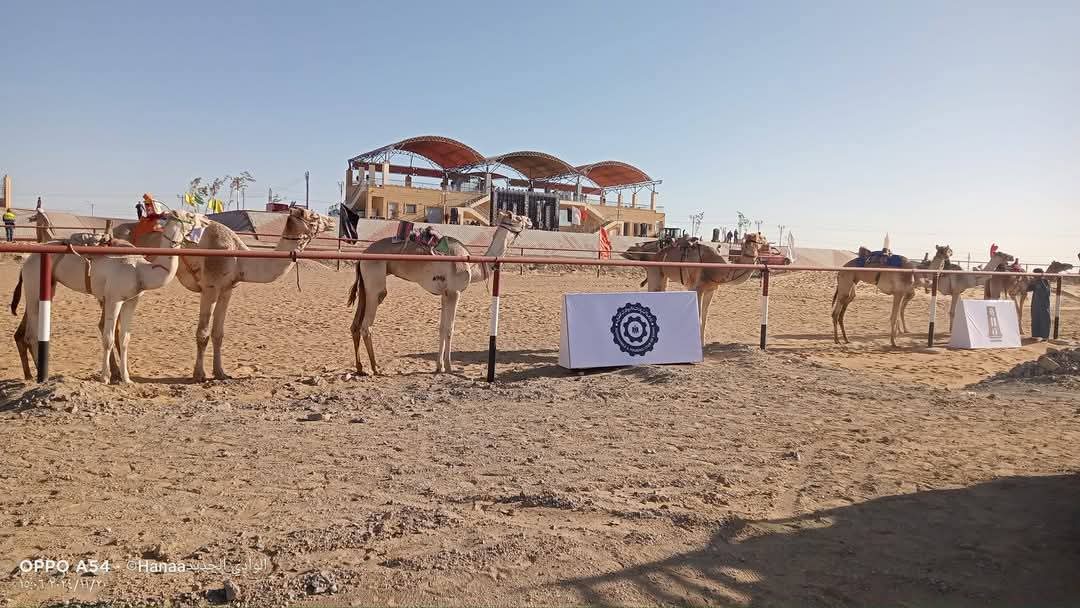تنفيذ مشروع نادى الهجن الدولي فى وقت قياسي تنفيذ مشروع نادى الهجن الدولي فى وقت قياسي