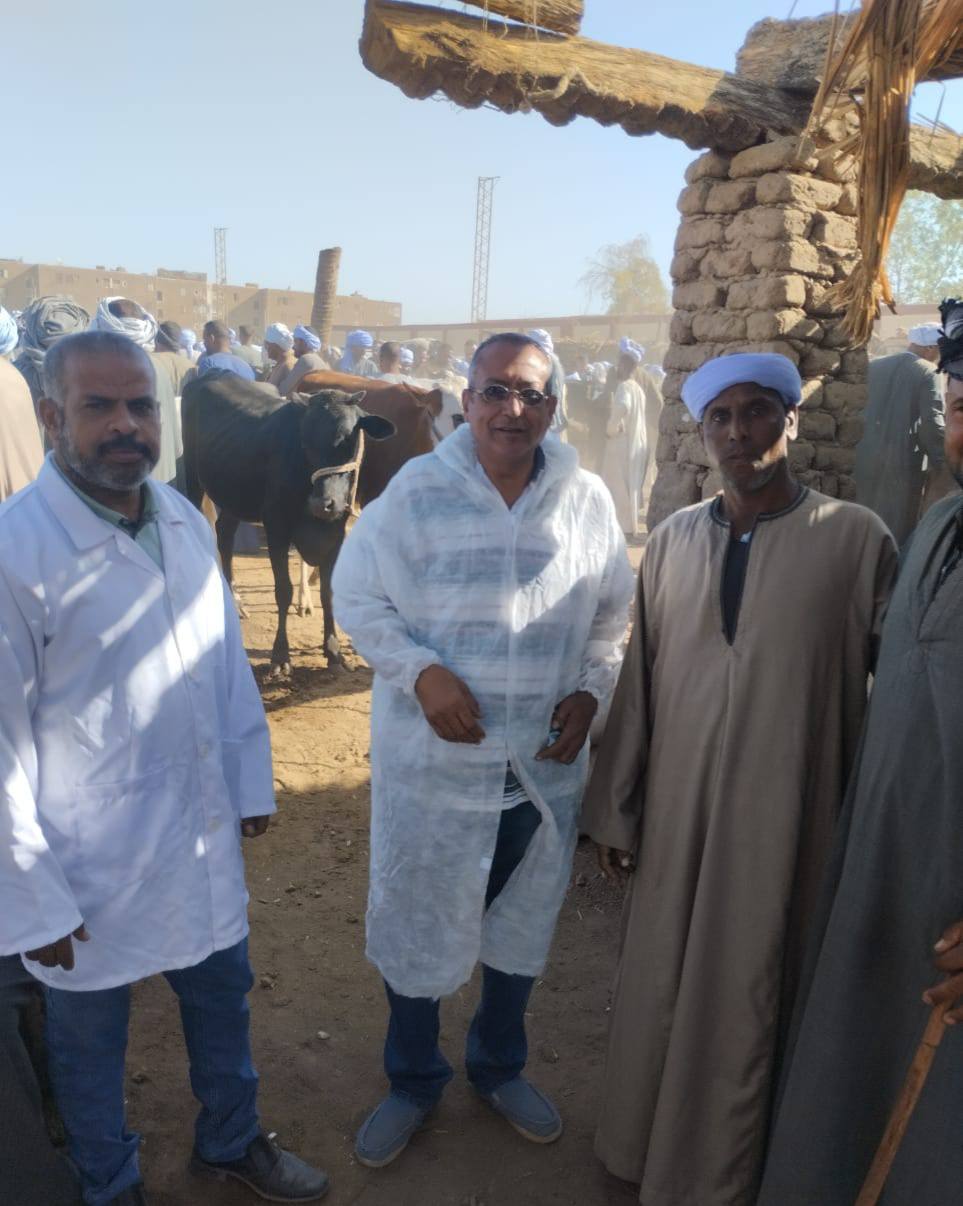 لجان بيطرية بأسواق الماشية الأسبوعية لتحصين الماشية قبل عيد الأضحى