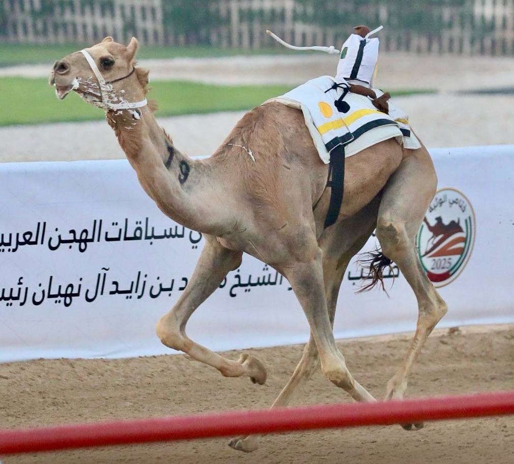 جانب من السباق جانب من السباق