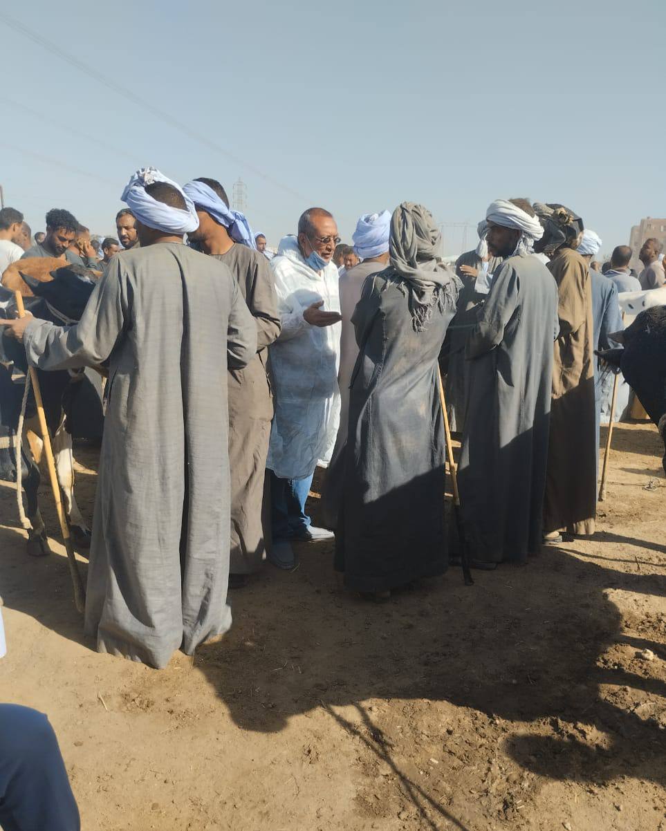 جانب من حملات التوعية البيطرية فى أسواق الماشية