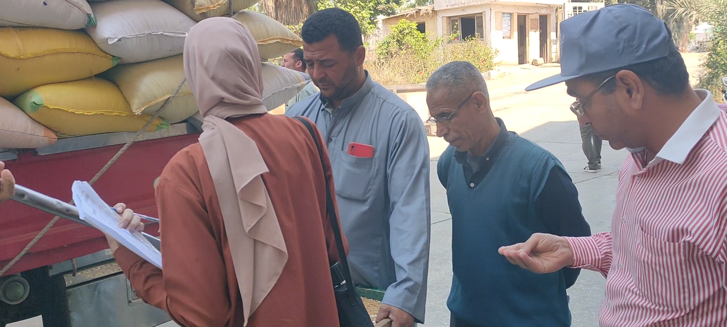 اللجنة تفحص القمح اللجنة تفحص القمح