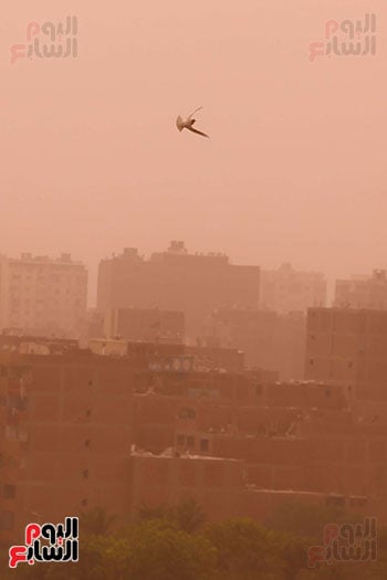 العاصفة الترابية المفاجئة العاصفة الترابية المفاجئة