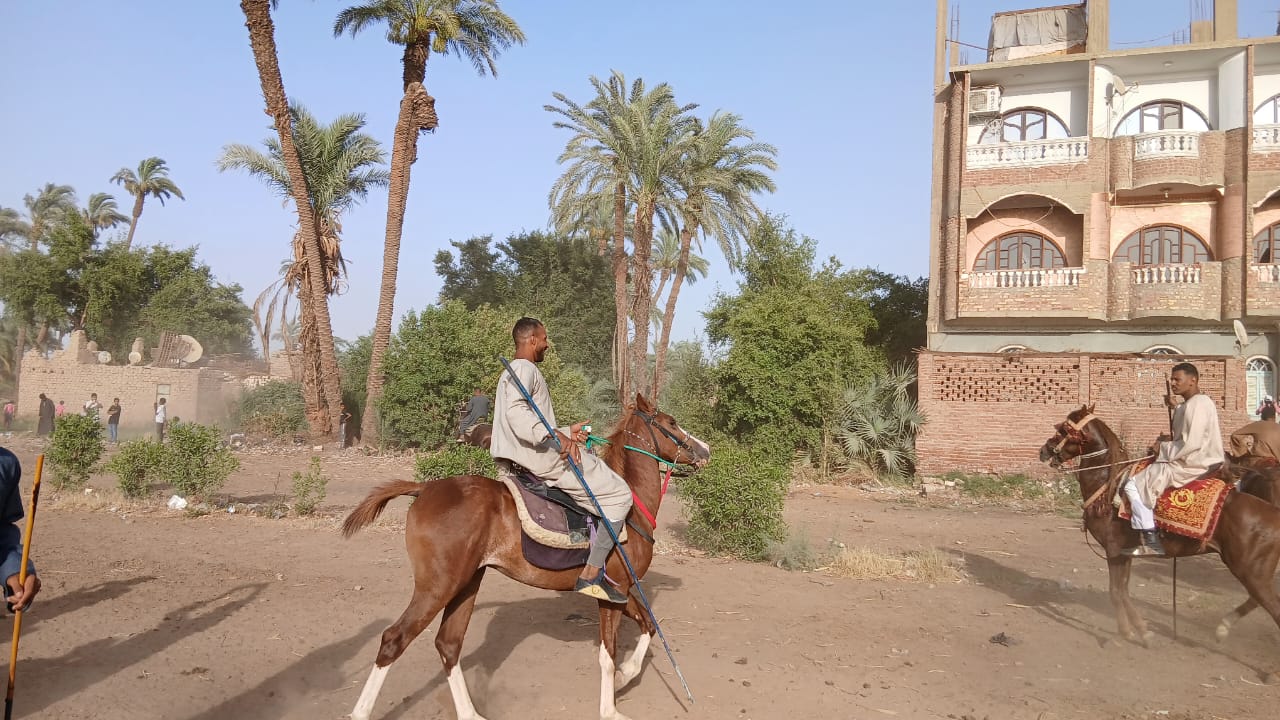 المرماح في المولد المرماح في المولد