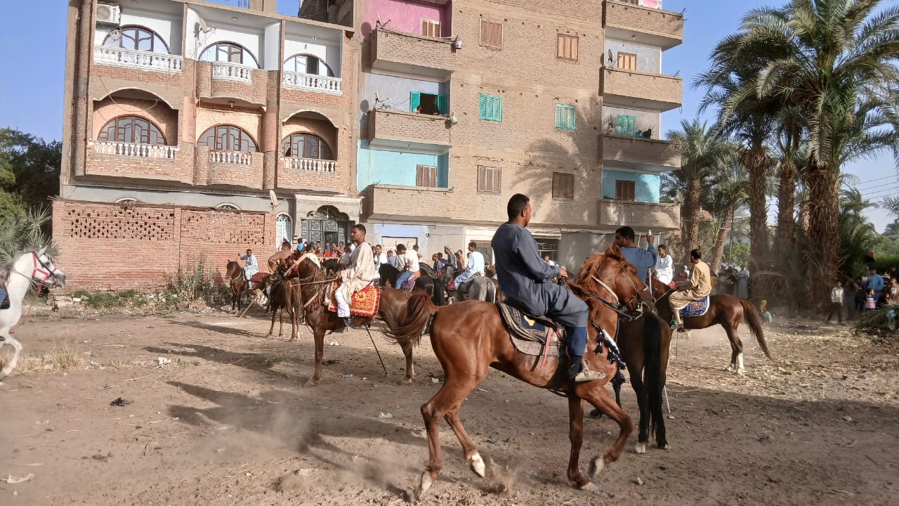 مولد الشيخ حسن بقنا مولد الشيخ حسن بقنا