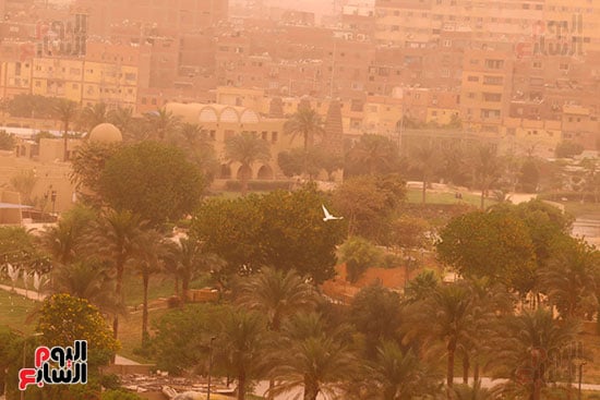 نشاط الرياح المثيرة للرمال والأتربة نشاط الرياح المثيرة للرمال والأتربة