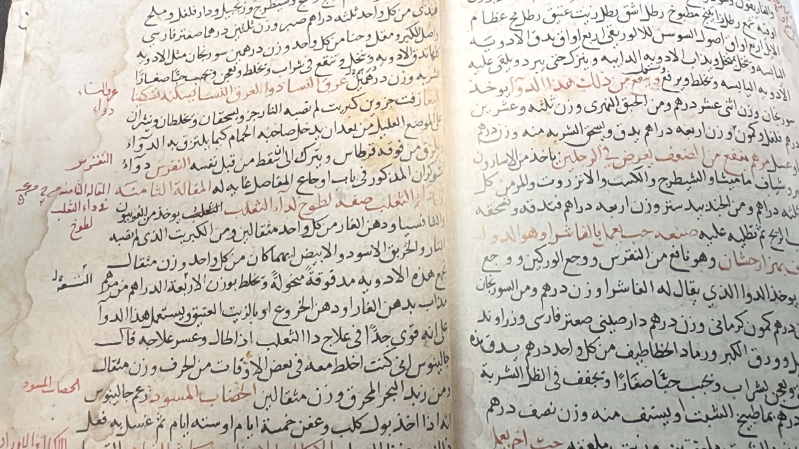 المخطوطة المخطوطة