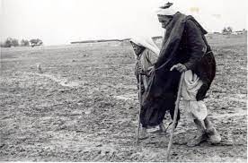 عجوزان خارج الوطن